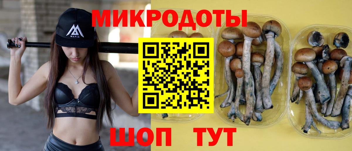 Псилоцибиновые грибы мицелий Прокопьевск